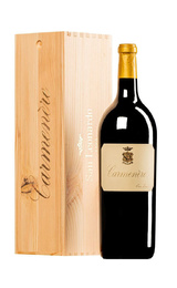 Вино Tenuta San Leonardo Carmenere 2016 1,5 л